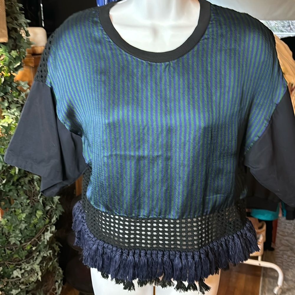 3.1 Phillip Lim crop top, tassels, cut out cloth at back, fringed trim. Size 6.